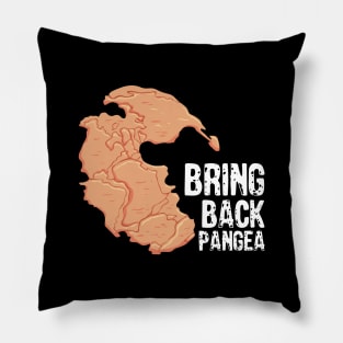 Geography Teacher Earth Pangea Continents Gift Pillow