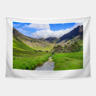 Warnscale Beck between Fleetwith Pike and Hay Stacks, Buttermere Tapestry