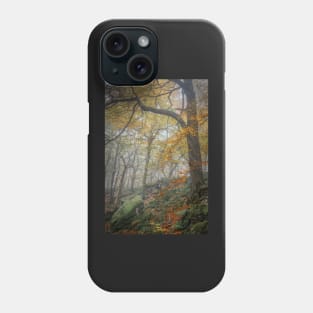 Autumn Trees and Rocks in Mist Phone Case