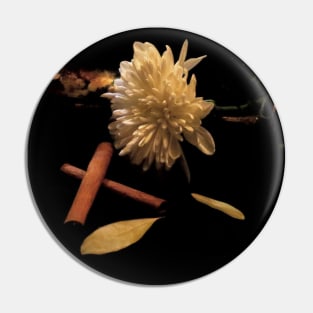 Chrysanthemum & Cinnamon 2 - Baroque Inspired Dark Still Life Photo Pin