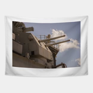 Side cannons Tapestry