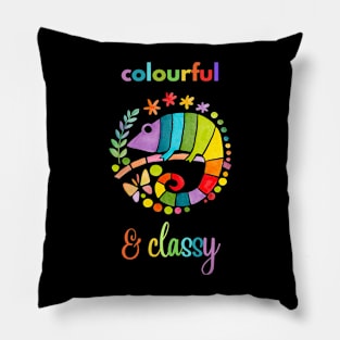 Colourful & Classy Pillow