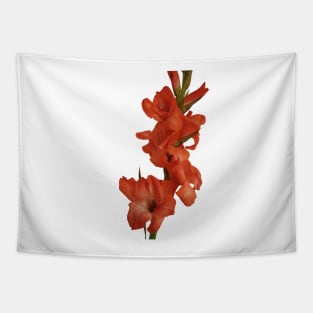 Red Gladioli Tapestry