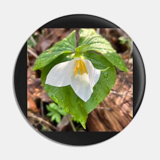 Wild White Trillium in the Forest Rain Pin