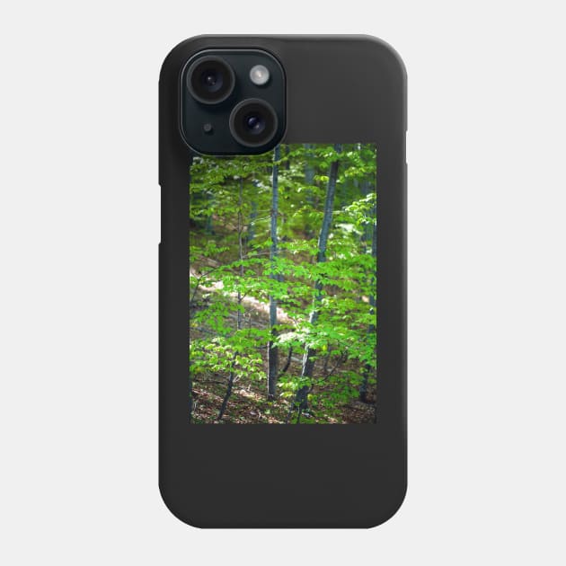 Young beech forest Phone Case by naturalis