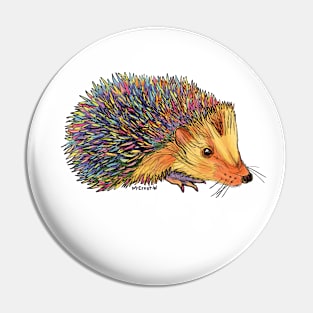 Rainbow Hedgehog-dark Pin