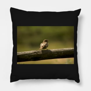 Single little bird on a fence, animal photography Pillow