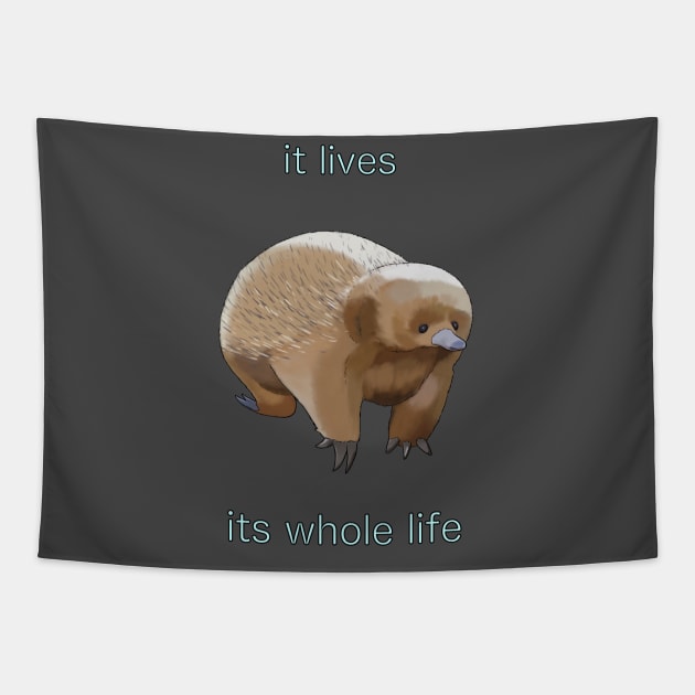 It Lives Its Whole Life Tapestry by gummirat