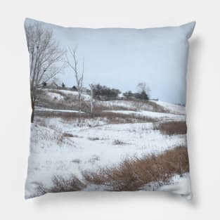 Beautiful Winter Scenery Pillow