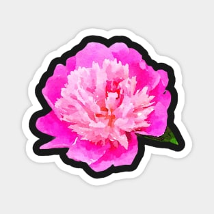 Bright pink peony Magnet