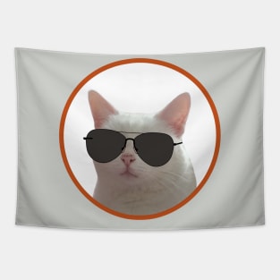 Kitten wearing aviator sunglasses Tapestry