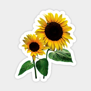 Sunflower Mommy's Love Magnet