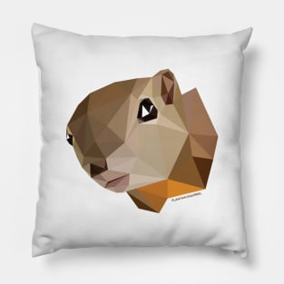 Plantain Squirrel Pillow