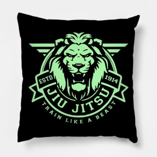 Brazilian Jiu Jitsu, BJJ, MMA Pillow