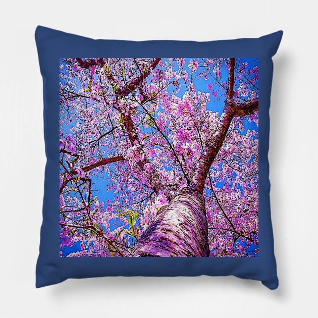 CHERRY BLOSSOM TREE Pillow by Overthetopsm