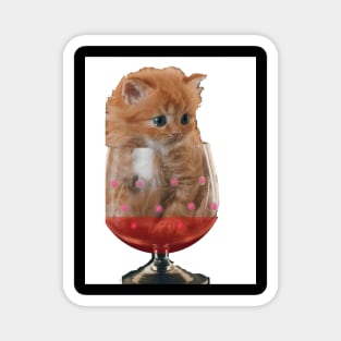 Kitten in Glass Magnet