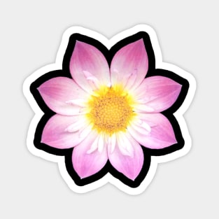 Flower Power Magnet