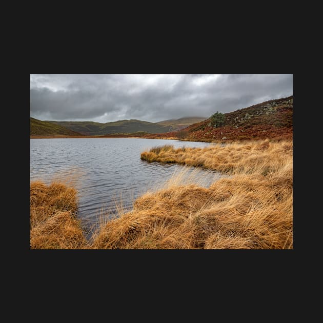 Llyn Barfog (The Bearded Lake), Snowdonia by dasantillo