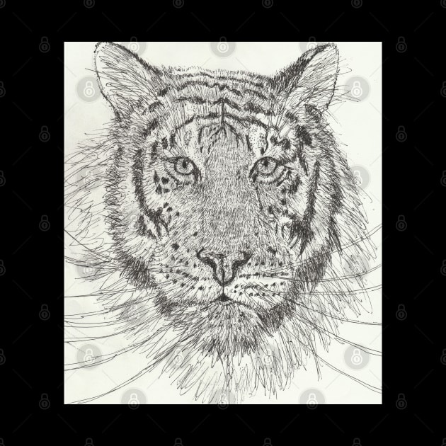 tiger drawing by SamsArtworks