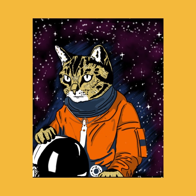 cat space by akbstr