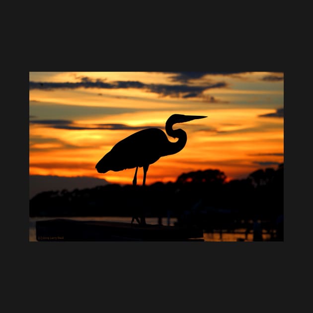 Sunset Heron by BadHabitsLounge