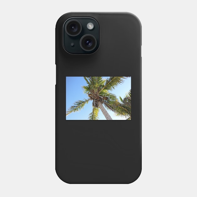 Florida Coconut Palm Phone Case by somekindofguru