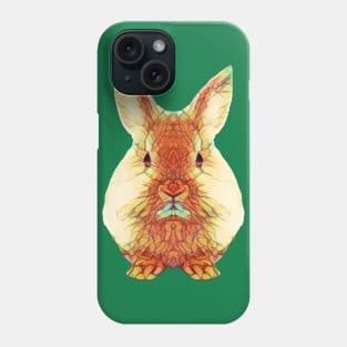 Cute Rabbit Design Phone Case