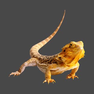 Bearded Dragon T-Shirt