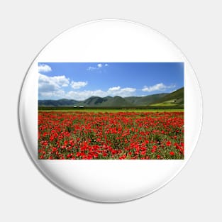 Poppies in Pian Grande Pin