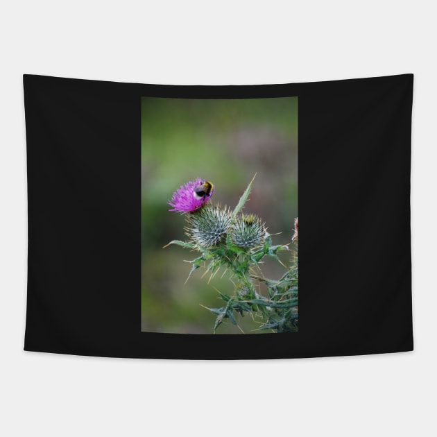 Thistle & the Bee two stingers Tapestry by declancarr