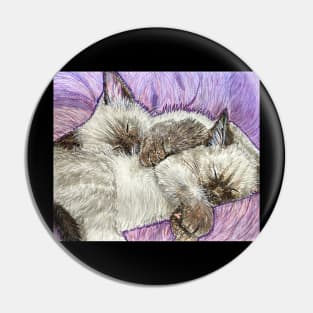 Siamese kittens Pin