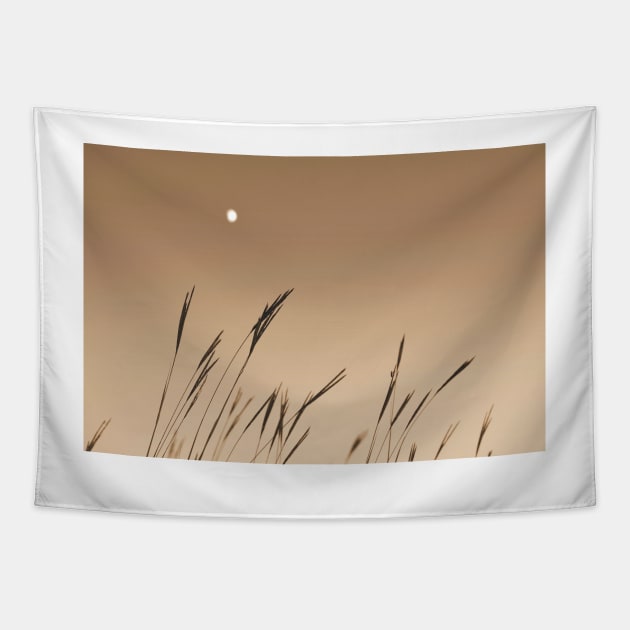 Moon on the Prairie Tapestry by bgaynor