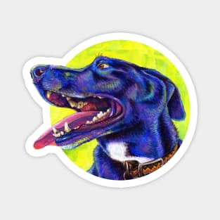 Jubilation Colorful Black Lab Dog Magnet