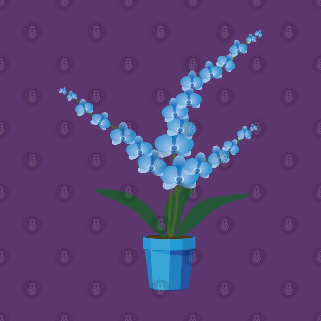 Blue orchid plant in a pot by Bwiselizzy