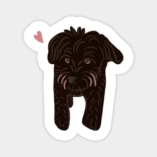 Black Poodle Mix Magnet