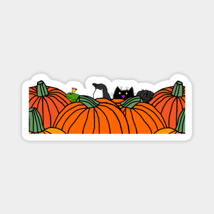 Cute Animals and Pumpkins Magnet