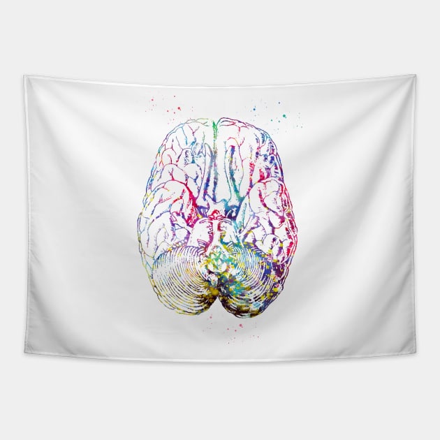 Human brain section Tapestry by erzebeth