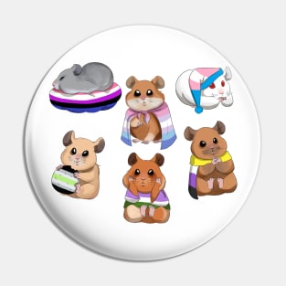 different genders with hamsters Pin