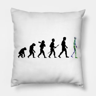 Evolution 3D Pillow