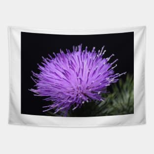 Glowing Thistle Tapestry