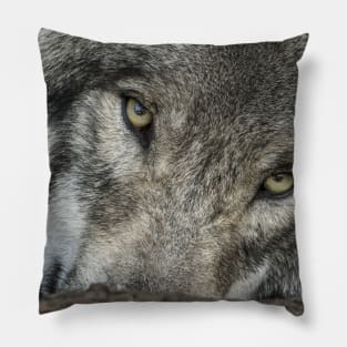 Windows of the Soul Pillow