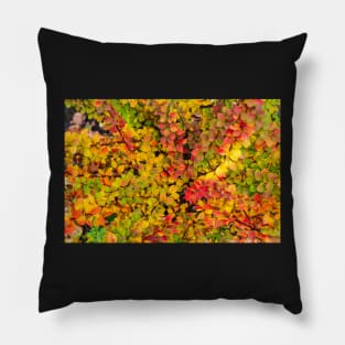 Red and yellow barberry leaves in autumn Pillow