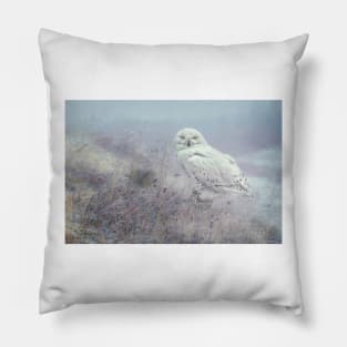 Misty Morning Snowy Owl Pillow