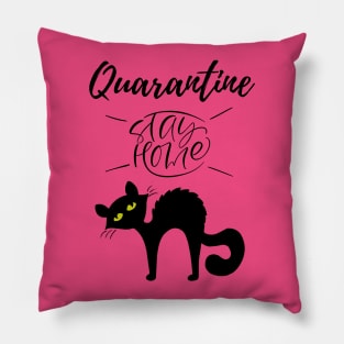 Quarantine and my Cat 2020 Pillow