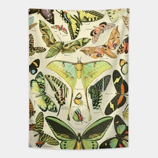 Luna Moth Butterfly Vintage Botanical Illustration Tapestry