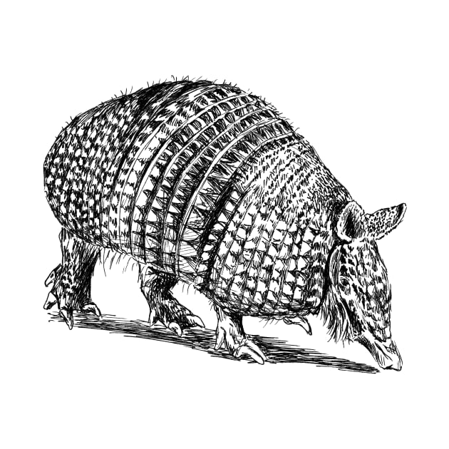 Armadillo Print by rachelsfinelines