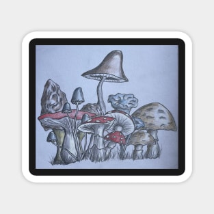 Shrooms Magnet