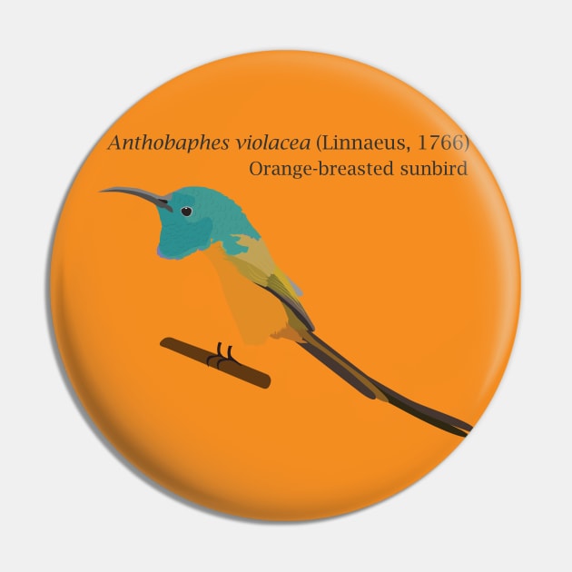 Orange-breasted sunbird Pin by uncutcreations
