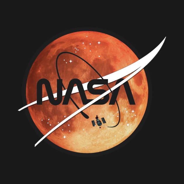 NASA Logo by Fitsmart