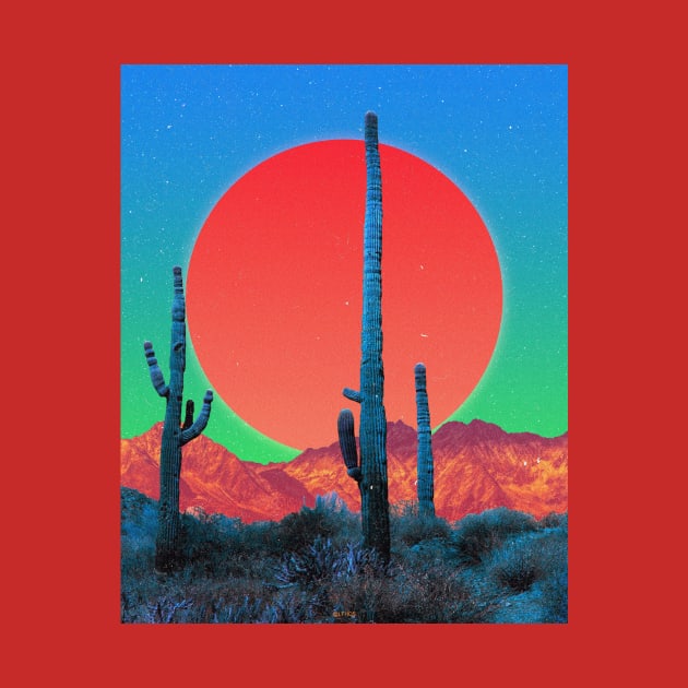 CACTI DREAMS by LFHCS